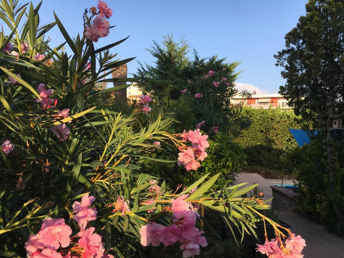 Villa Alessia Антиб Экстерьер фото